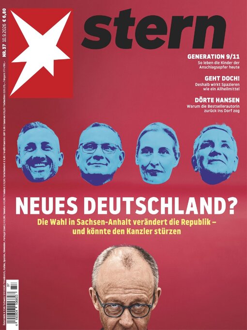 Cover image for stern